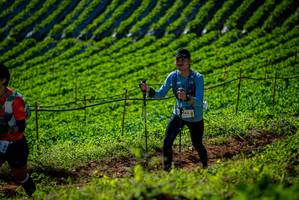 BIB: 236
                            <button type="button" onclick="openModal(19160888)" class="btn btn-primary btn-sm float-right btn-popup" data-toggle="modal" data-target=".modal-high-quality">
                        <i class="fas fa-shopping-cart"></i> Add to Cart
                    </button>
                                            <button type="button" onclick="isThisMe(19160888, true)" class="btn btn-success btn-sm float-right btn-popup btn-isme hidden" data-toggle="tooltip" data-placement="bottom" title="นี่คือรูปของคุณใช่ไหม คลิกที่นี่เพื่อเอาเข้าอัลบั้ม">
                        <i class="fas fa-plus"></i> Add to album
                    </button>
                    <button type="button" onclick="isThisMe(19160888, false)" class="btn btn-warning btn-sm float-right btn-popup btn-isnotme hidden">
                        <i class="fas fa-ban"></i> Remove from album
                    </button>